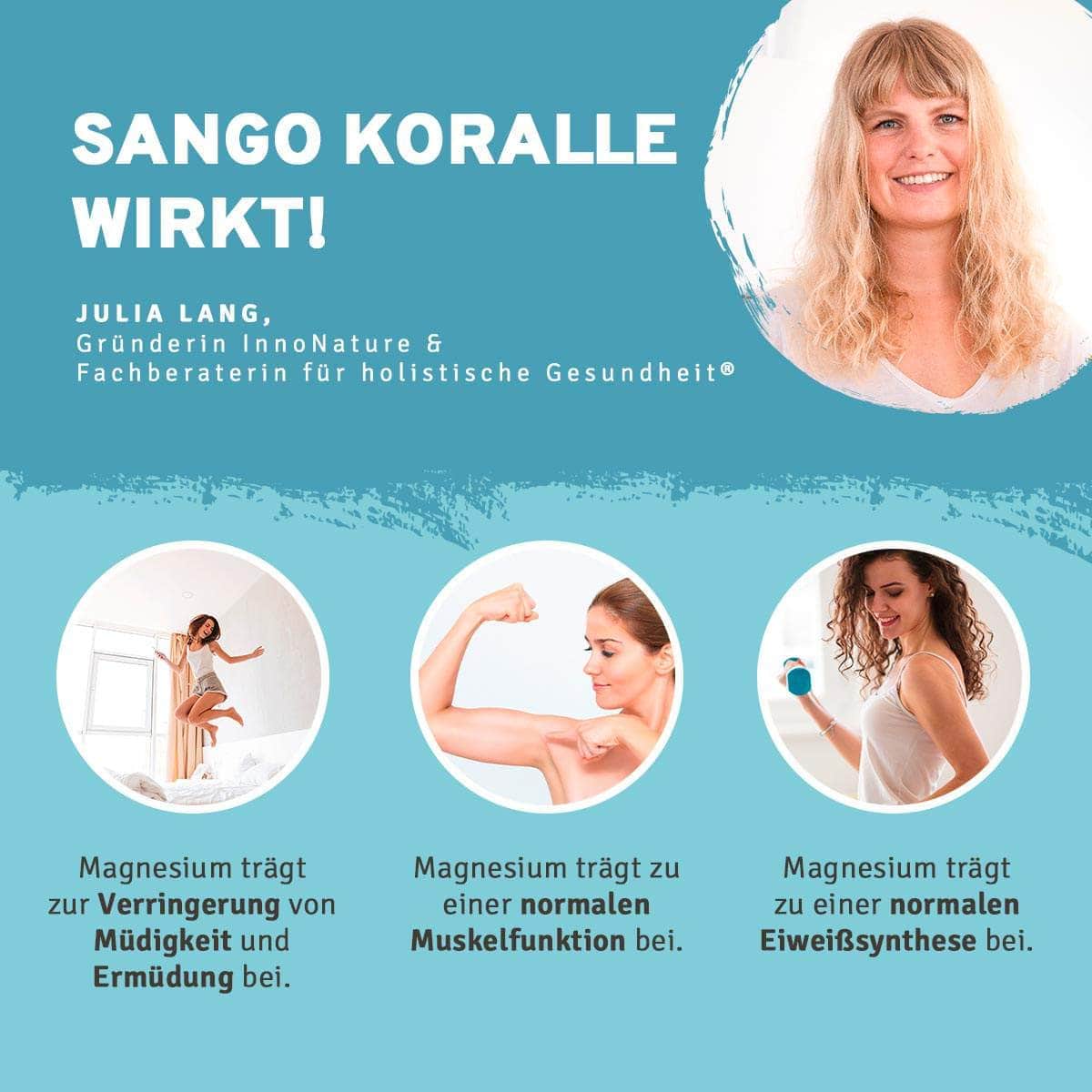 Aktiv-Paket - Image 6