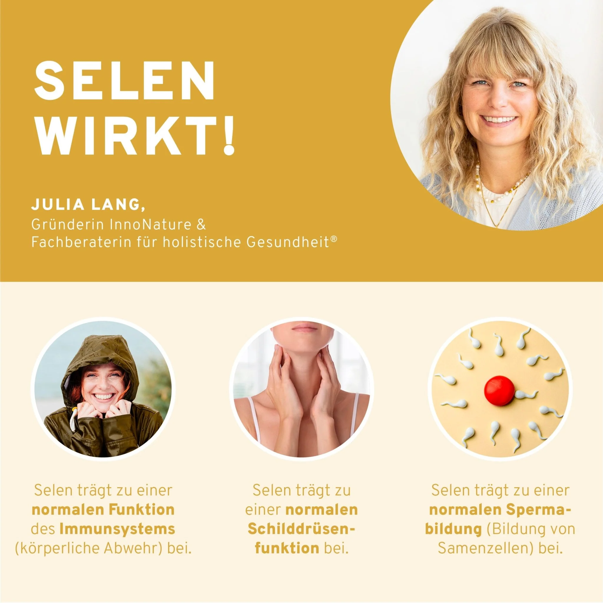 Schilddrüsen-Paket - Image 7