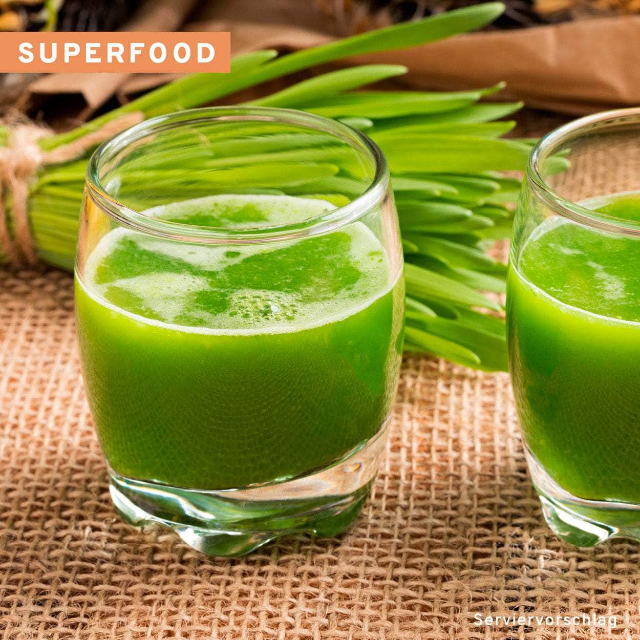 Bio Kurkuma Gerstengras Mix Superfood - Image 7