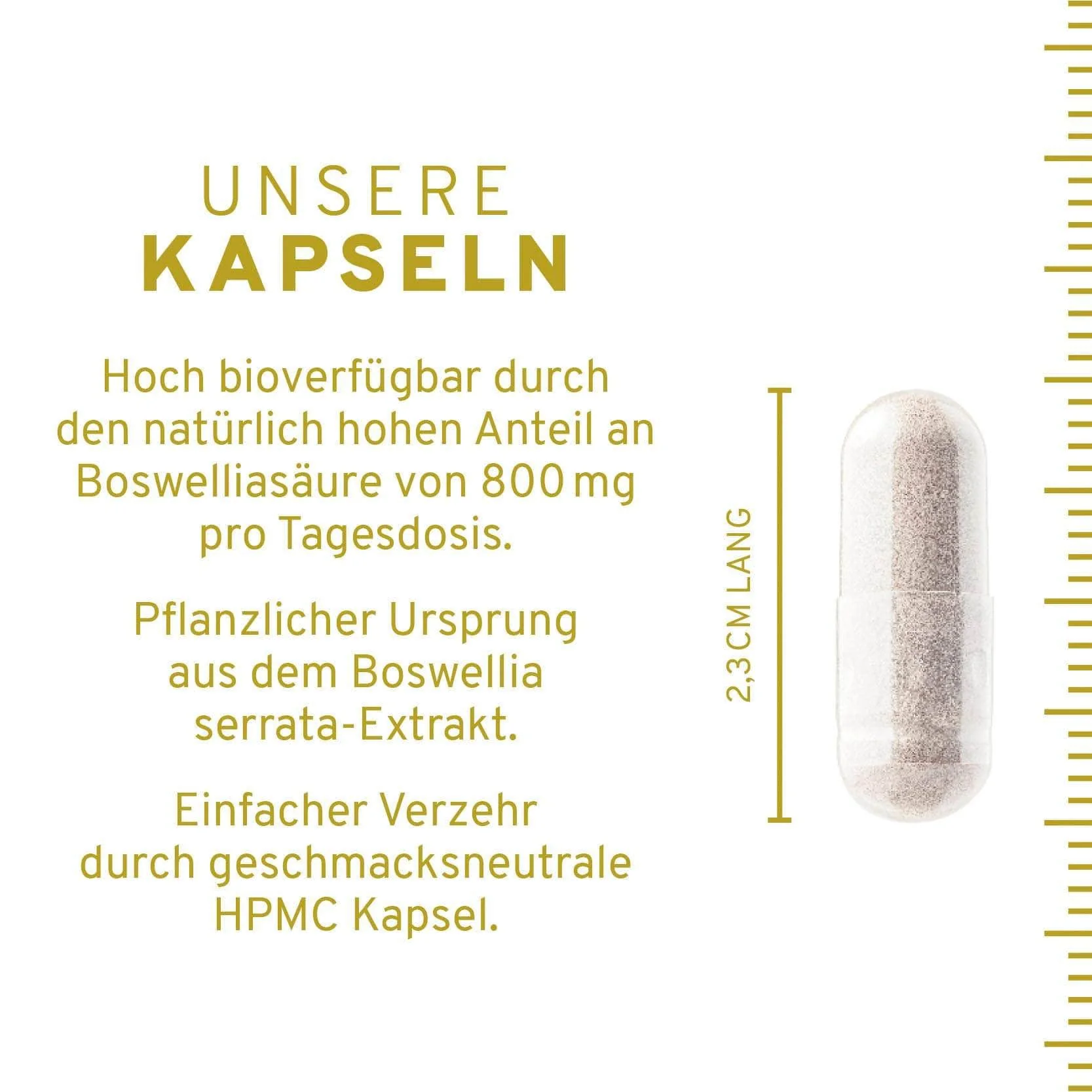 Boswelliasäure: Weihrauch Kapseln - Image 4