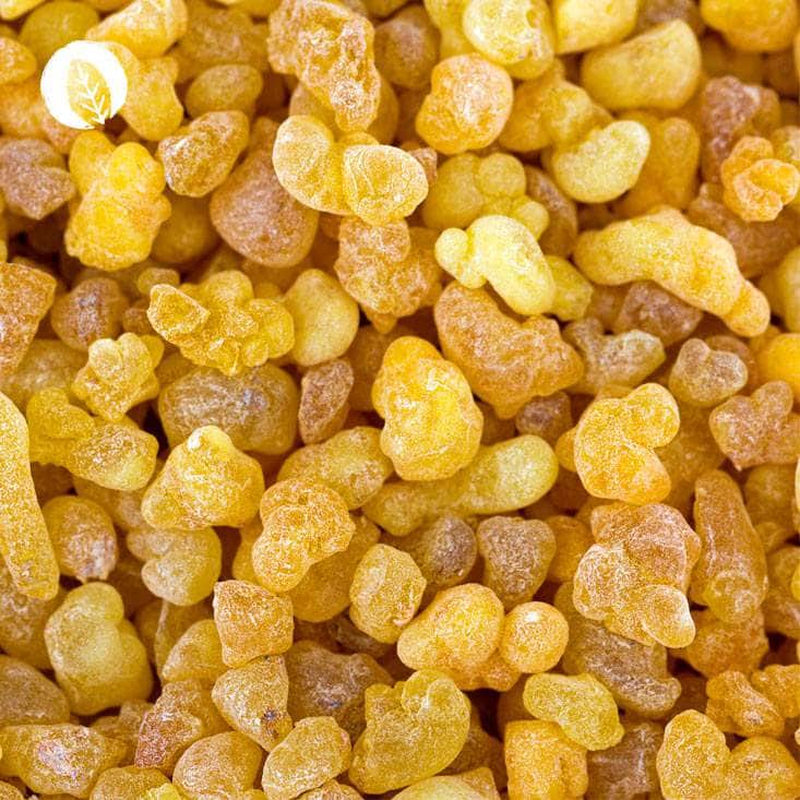 Boswelliasäure: Weihrauch Kapseln - Image 6