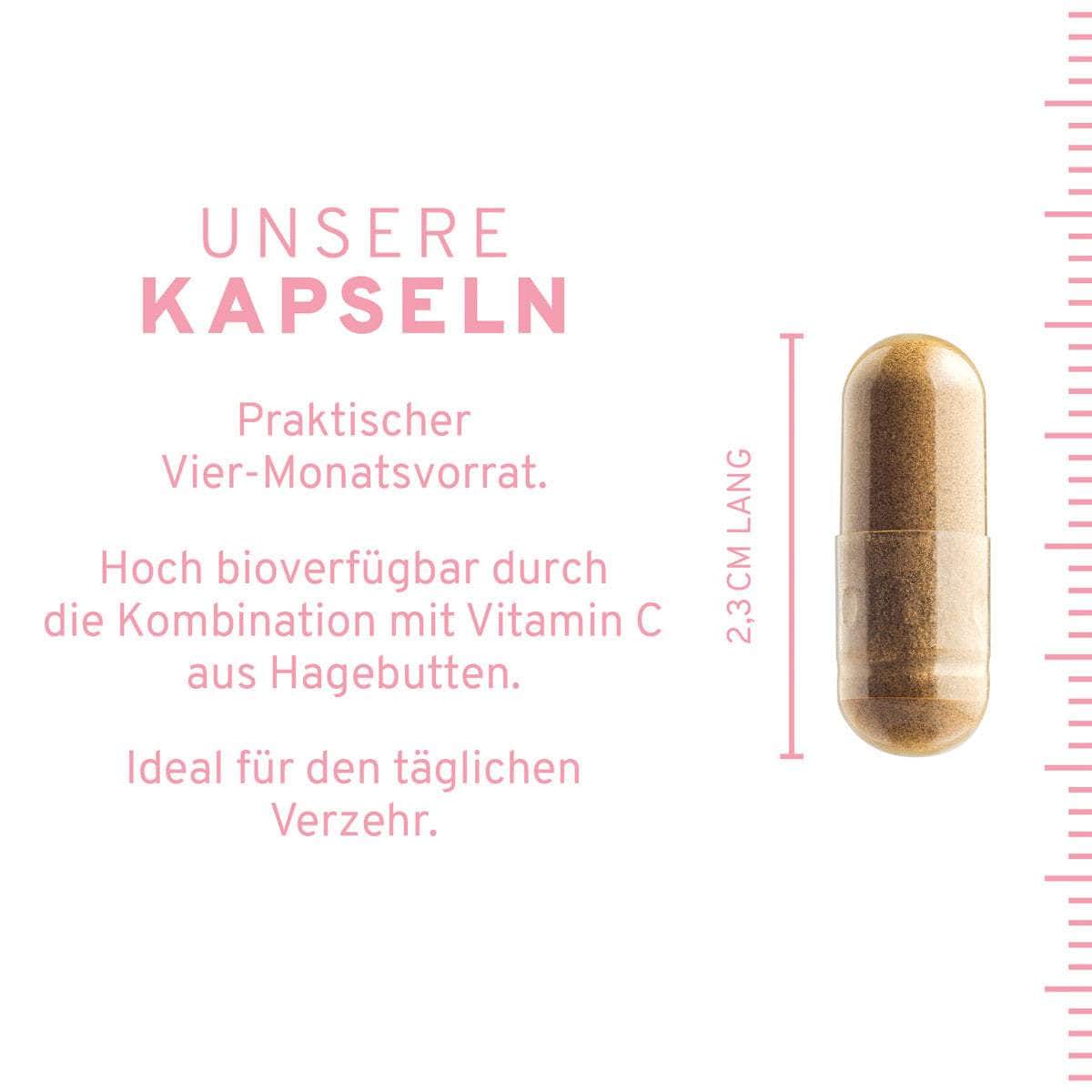 Eisen + Vitamin C Kapseln aus Curryblättern + Hagebutte - Image 4