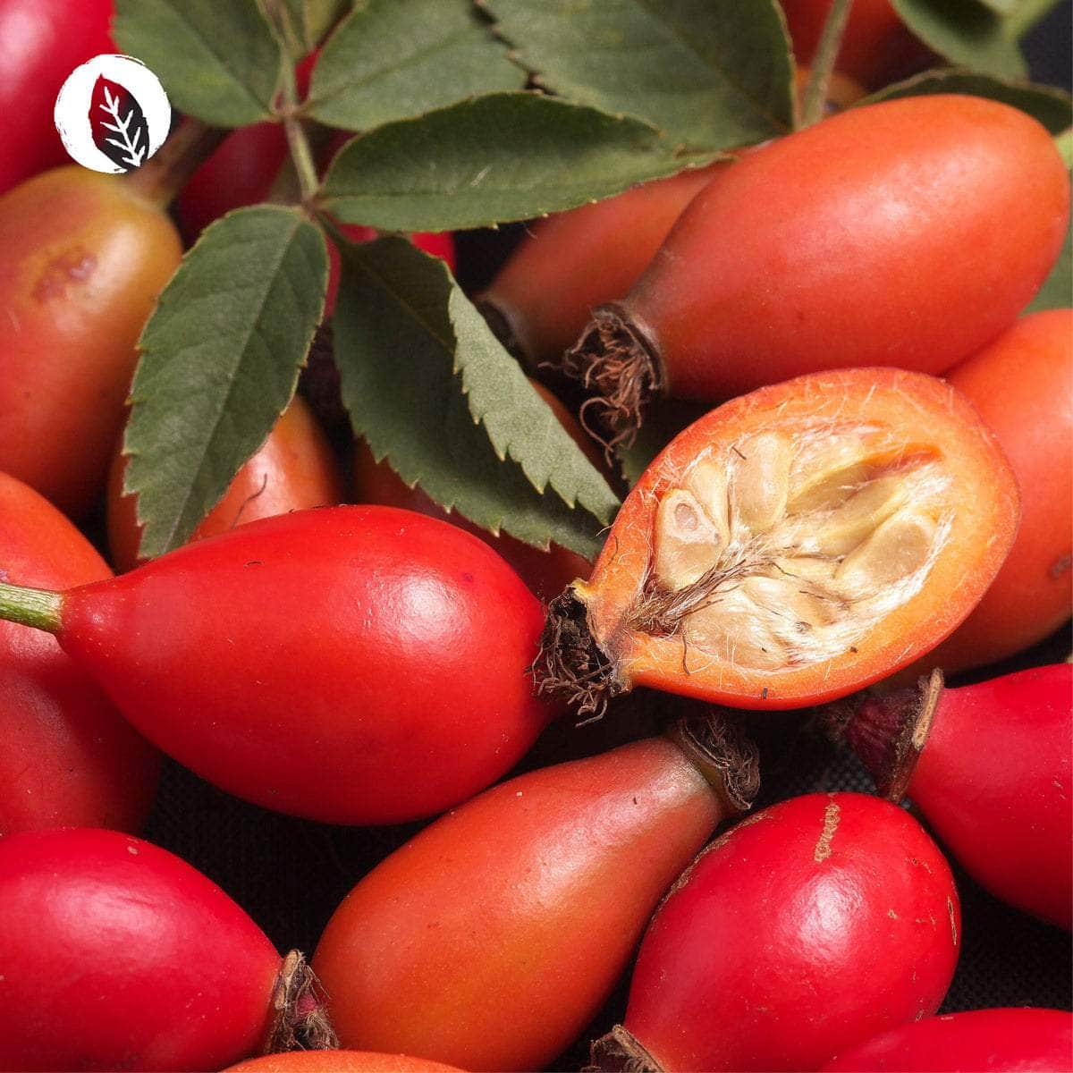 Eisen + Vitamin C Kapseln aus Curryblättern + Hagebutte - Image 7