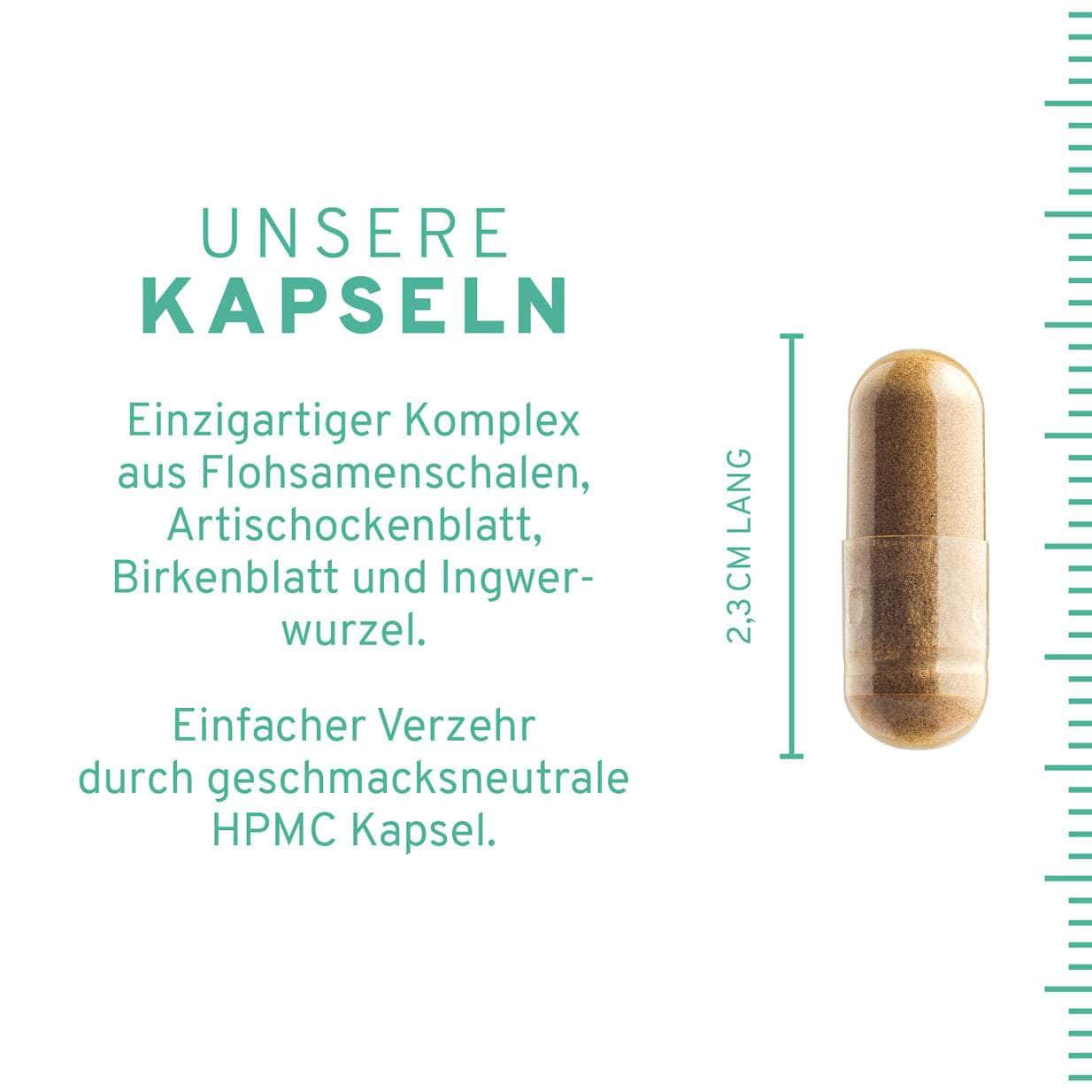 Flohsamenschalen Plus Kapseln - Image 3