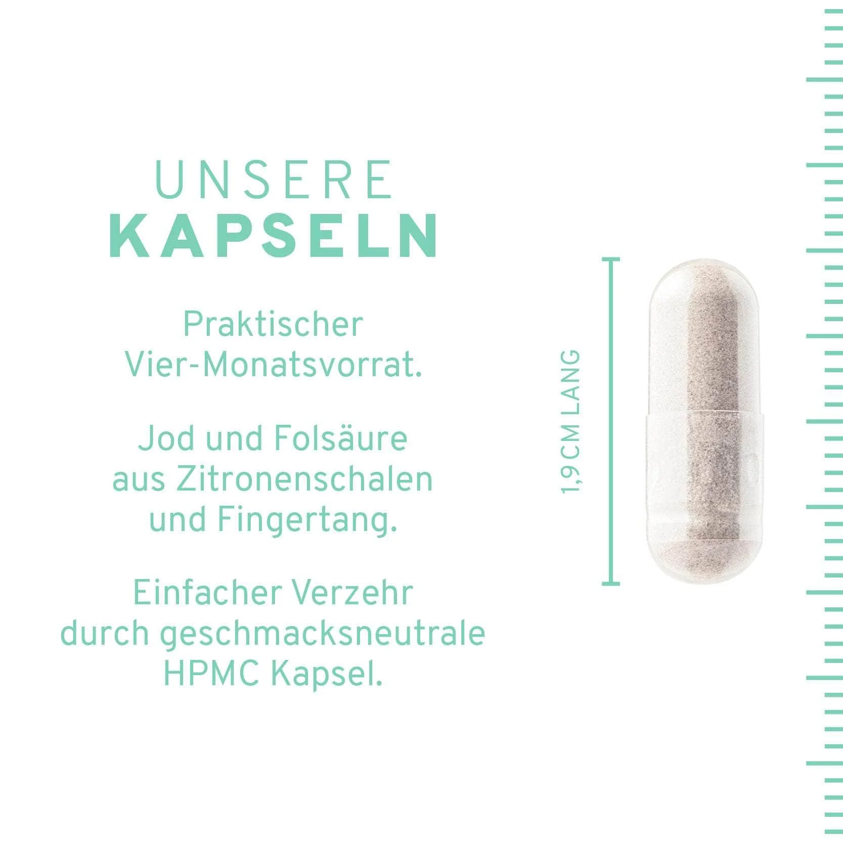 Kelp + Spinat: Natürliche Jod + Folsäure Kapseln - Image 4