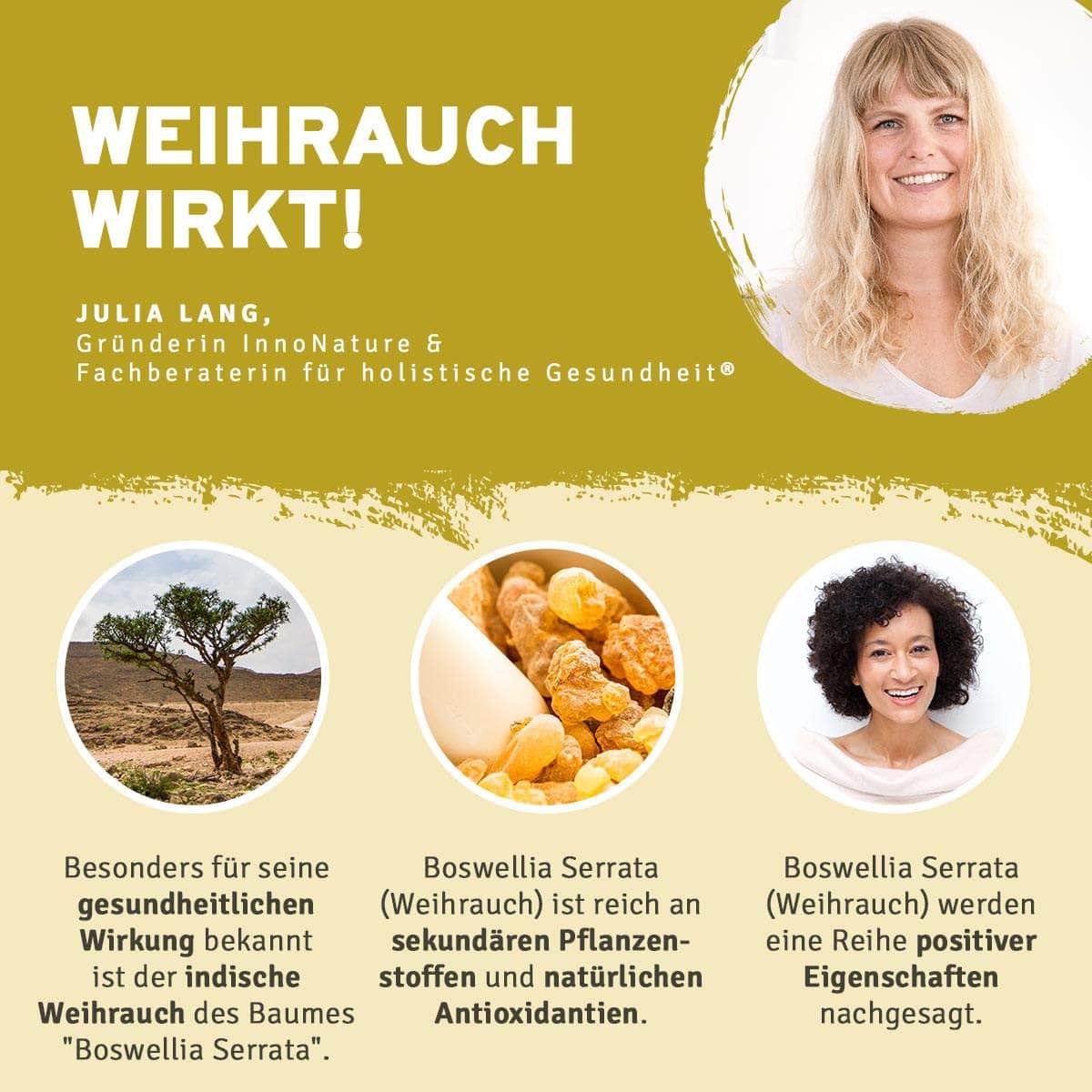 Gelenke und Regenerations-Paket - Image 3