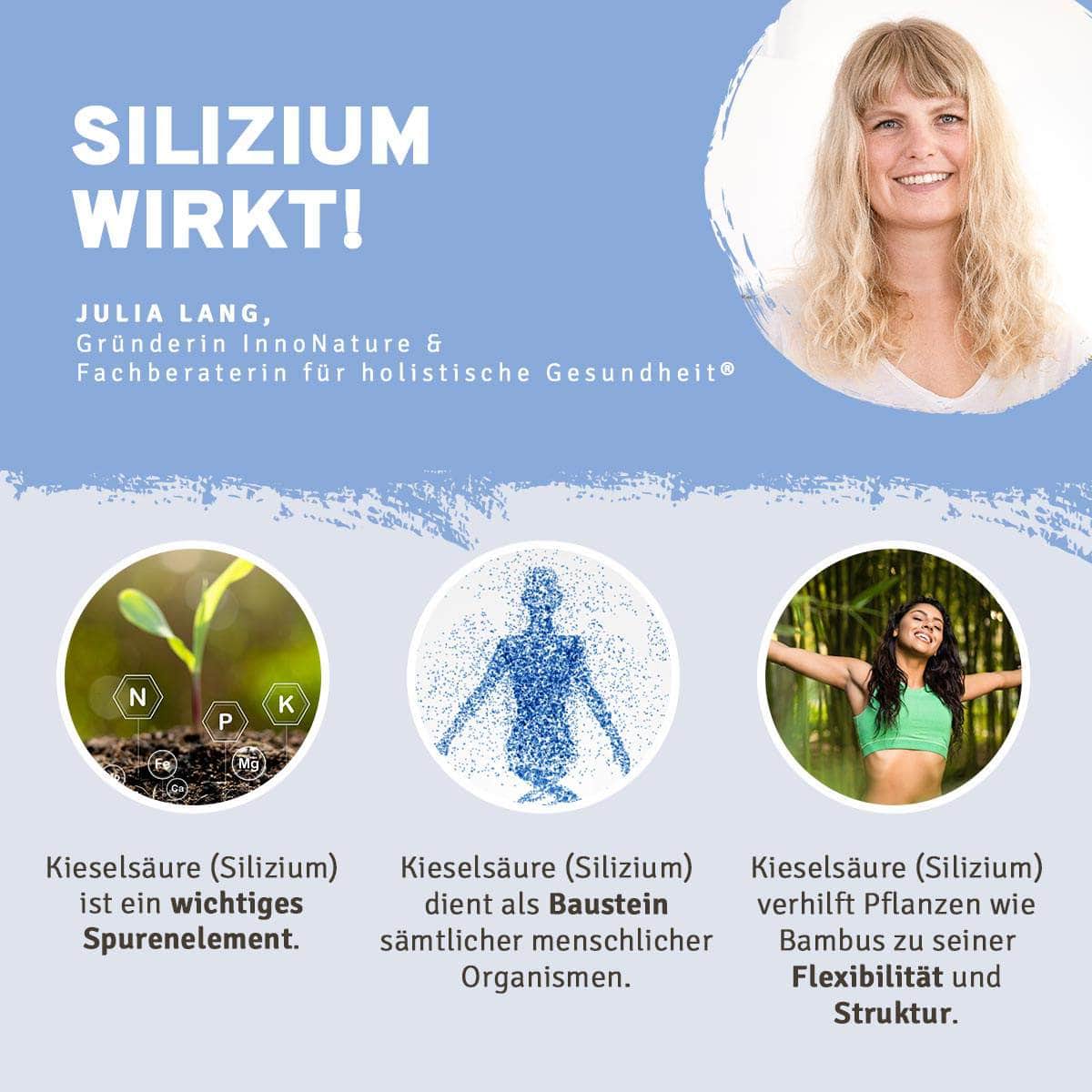 Gelenke und Regenerations-Paket - Image 5