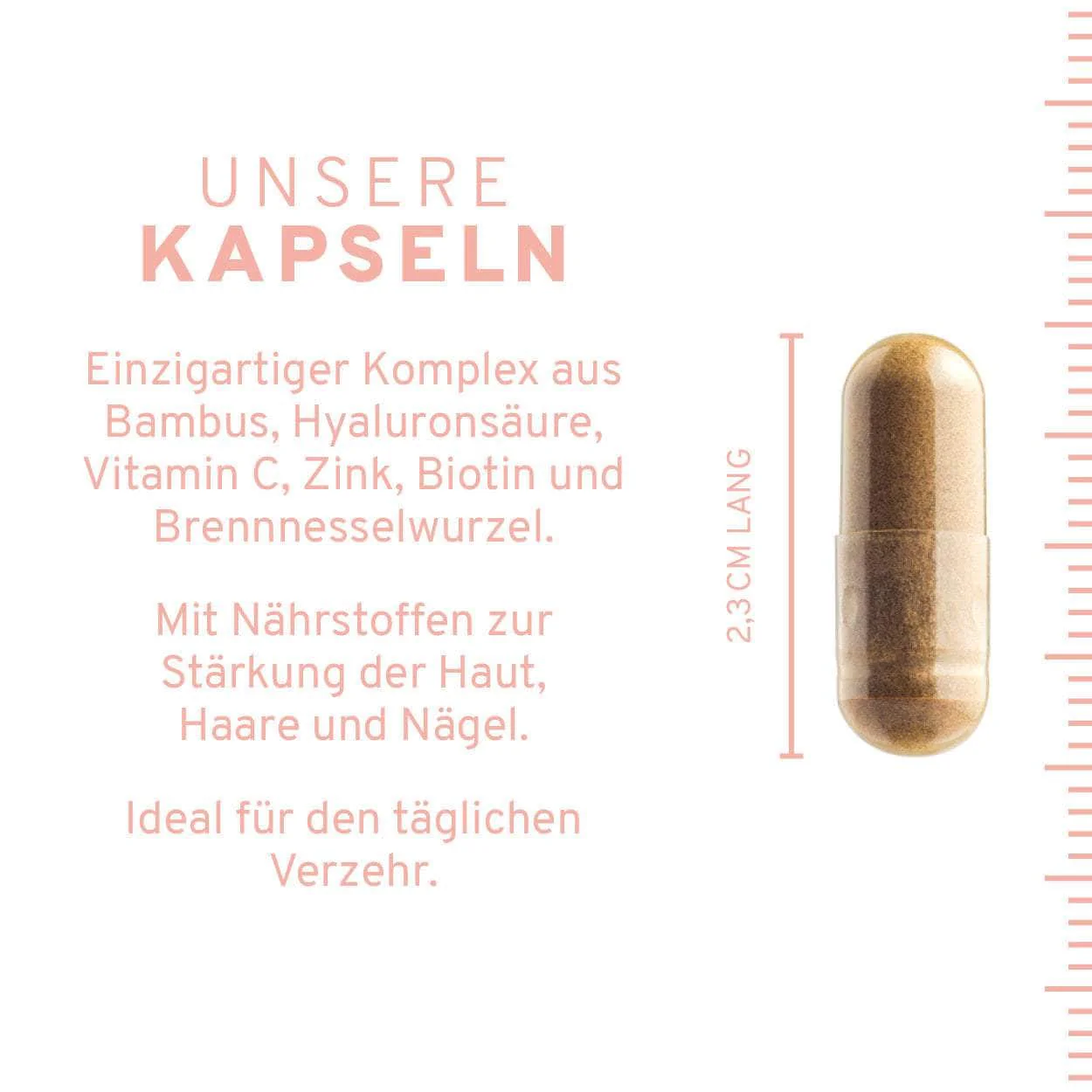 Haut-Haare-Nägel Kapseln - Image 4