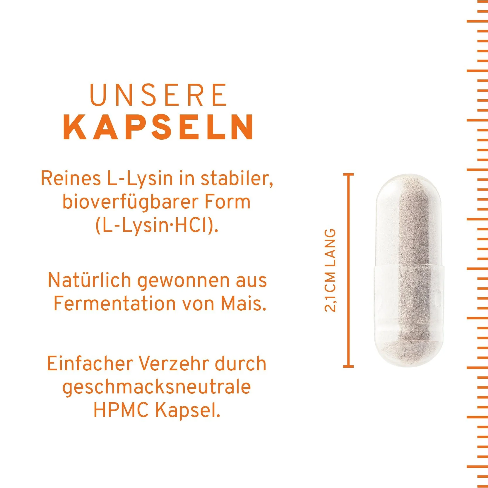 L-Lysin Kapseln - Image 4