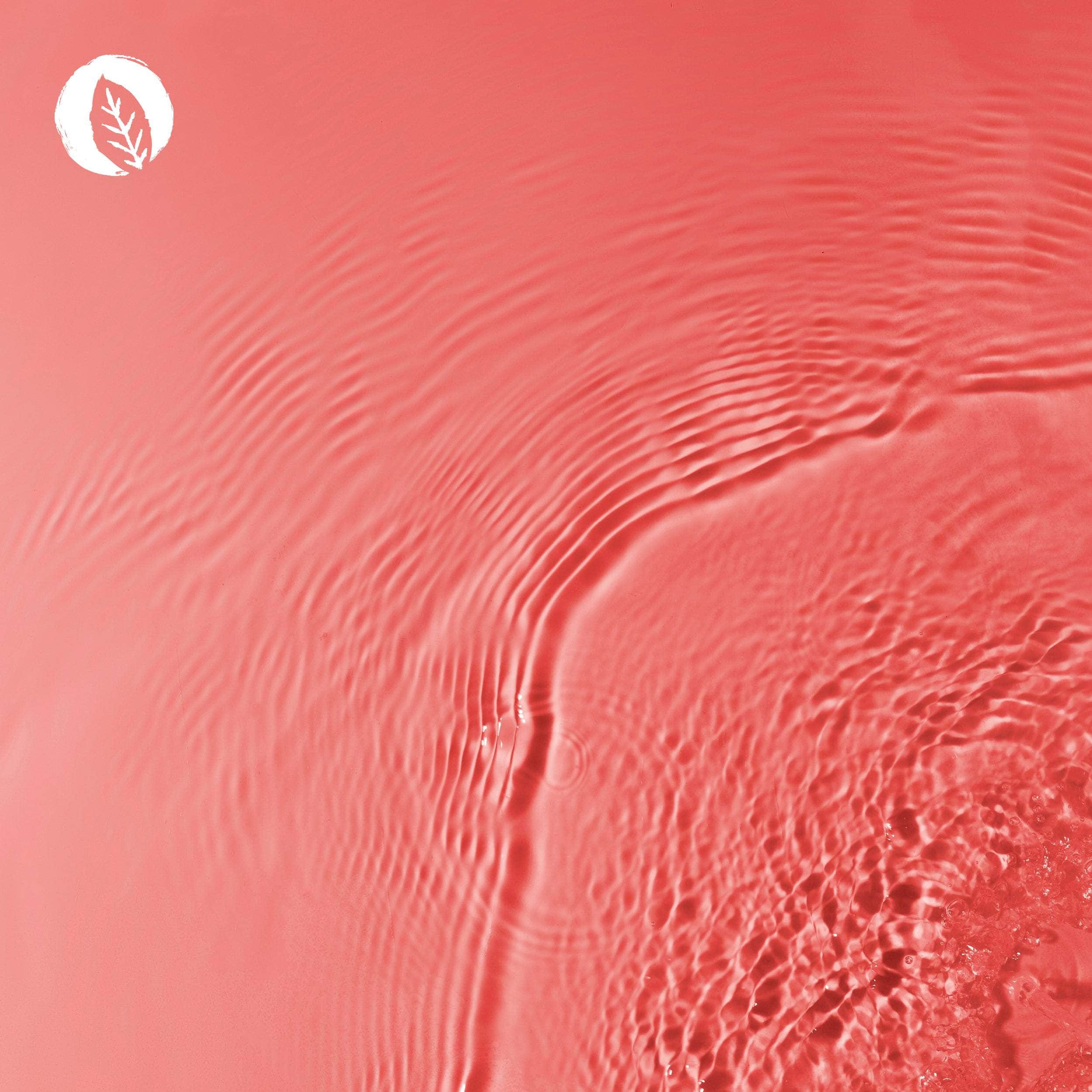 Methylcobalamin: Vitamin B12 Tropfen - Image 6