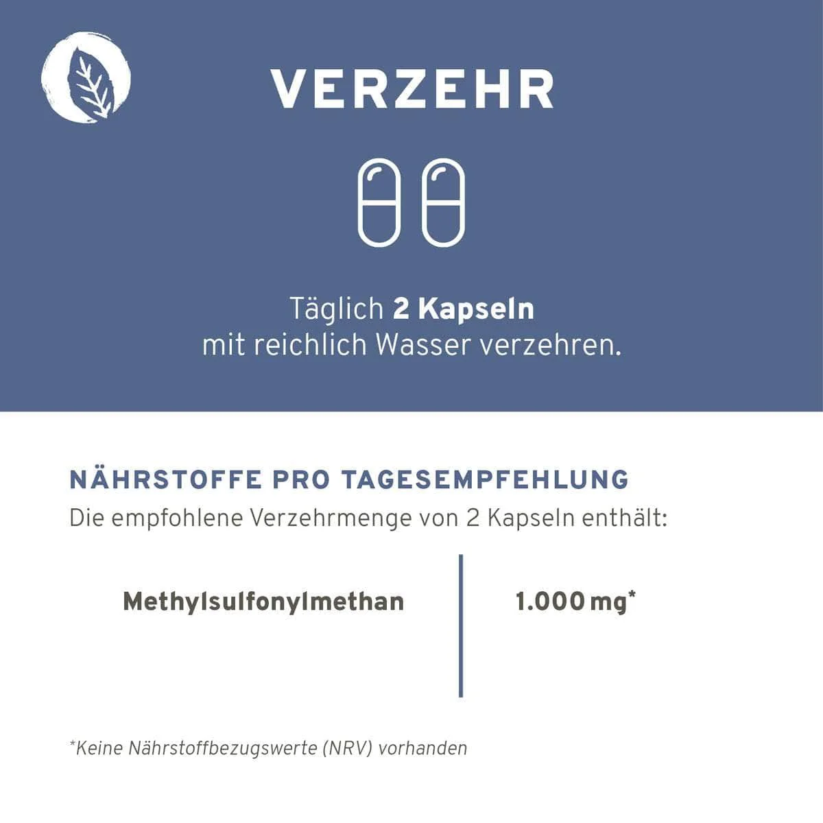 MSM Kapseln - Image 3