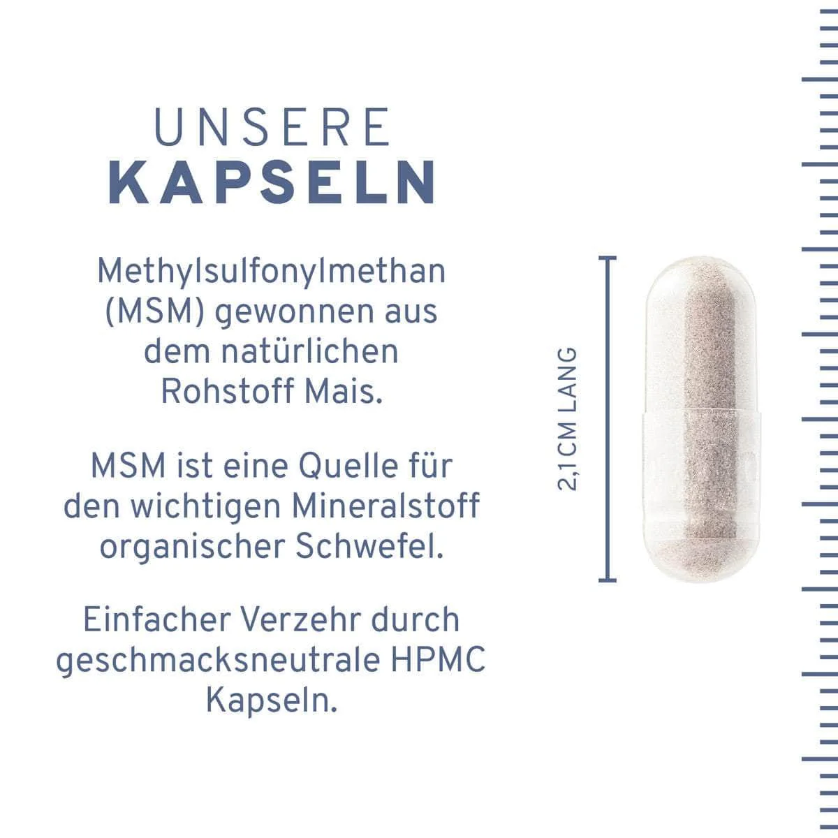 MSM Kapseln - Image 4