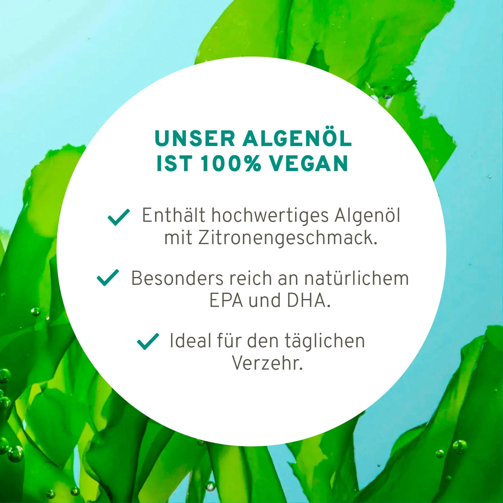 Omega 3 Algenöl - Image 4