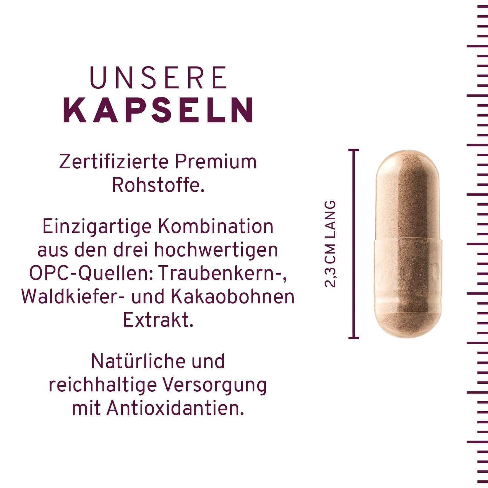OPC KOMPLEX Kapseln - Image 4