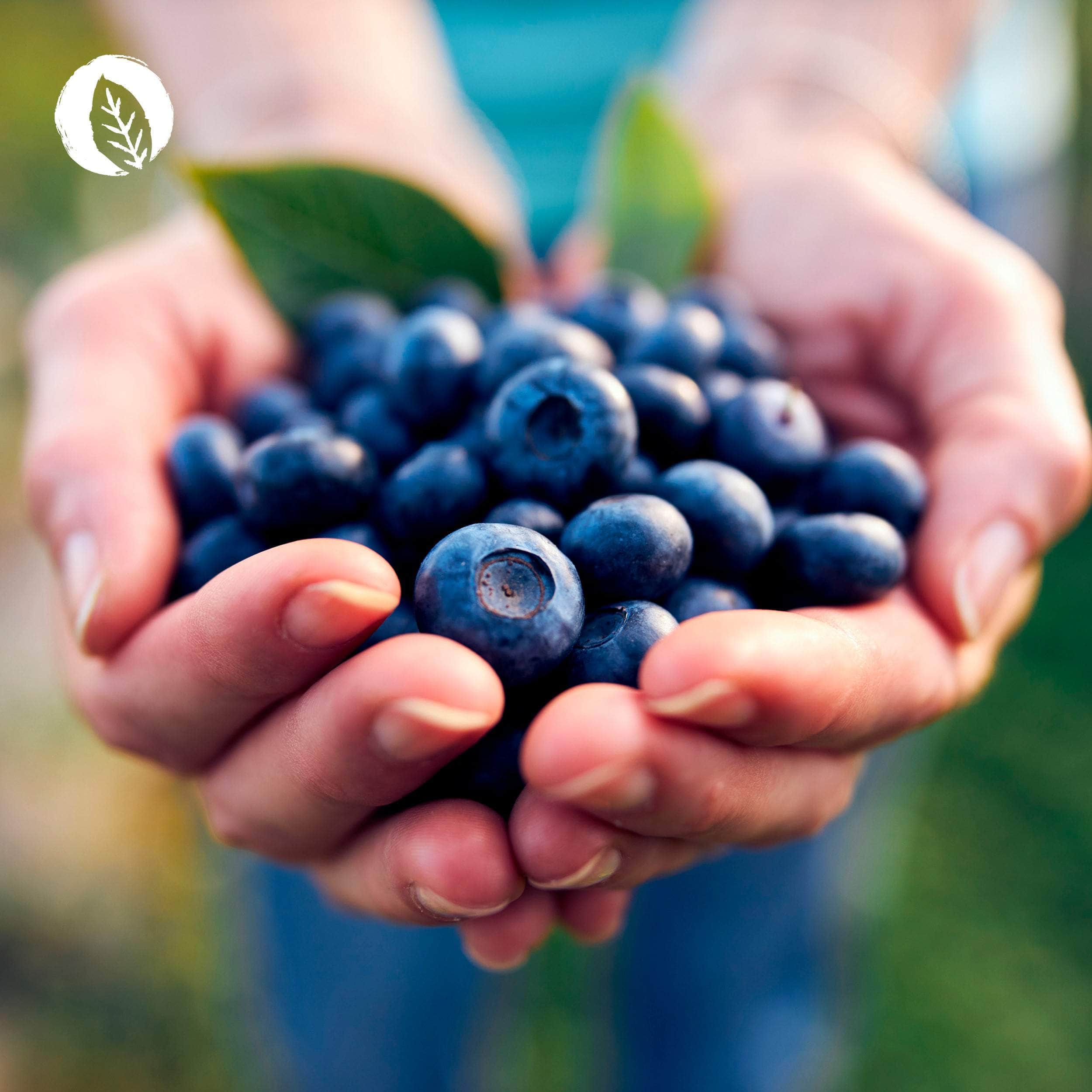 Sehkraft Kapseln - Image 7