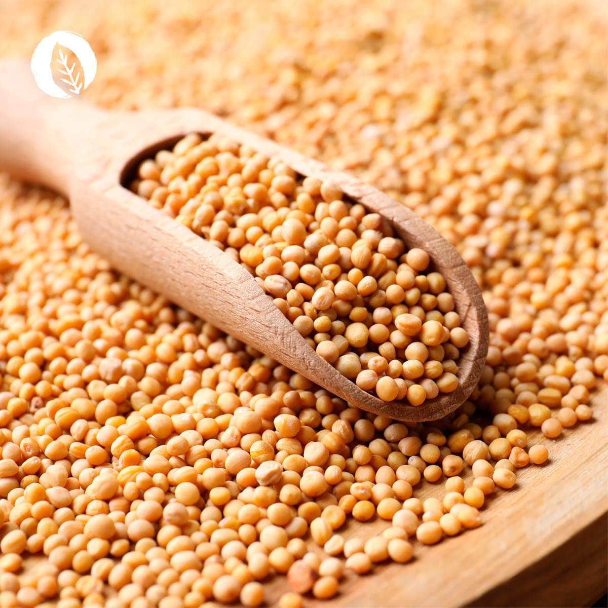 Natürliche Selen Kapseln - Image 6