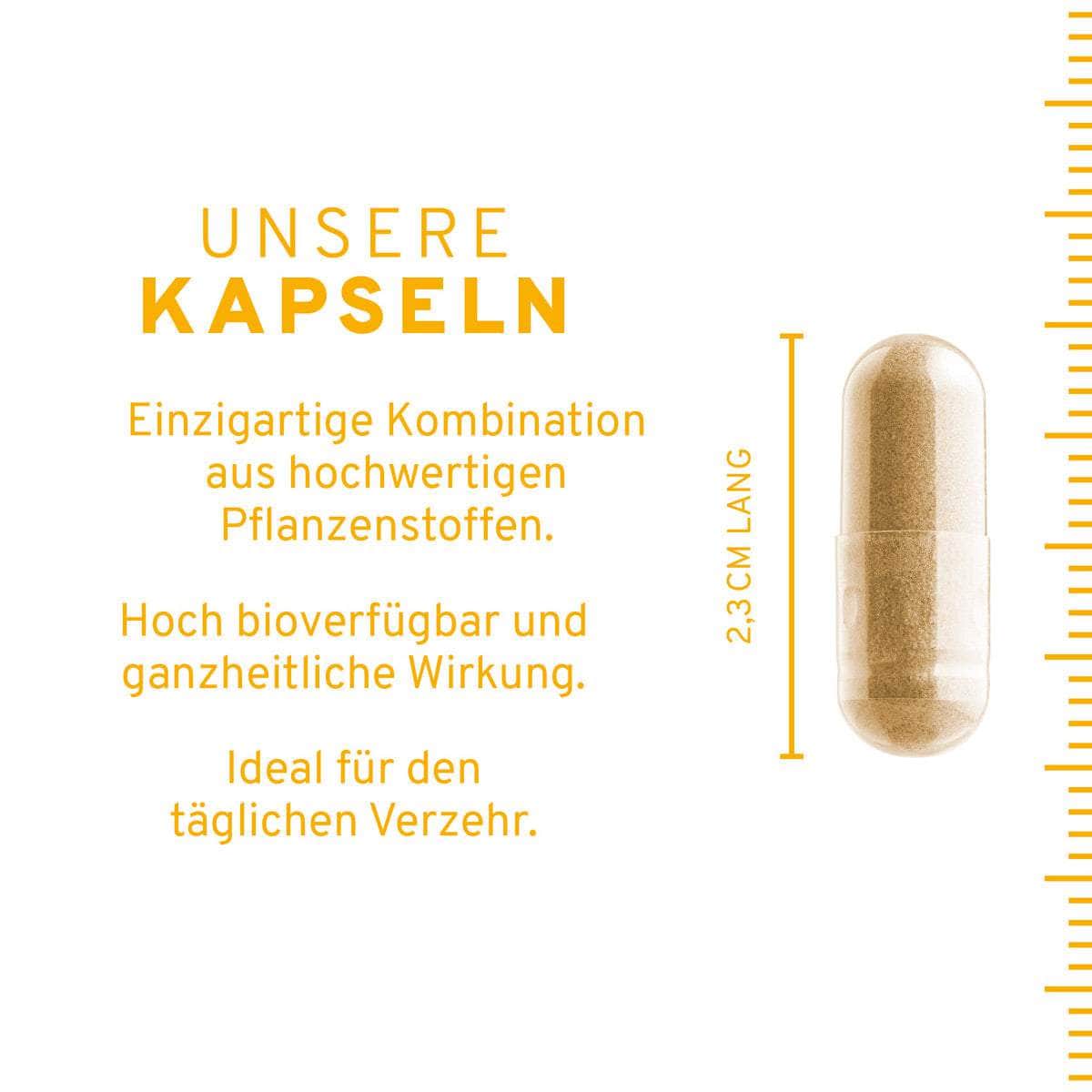 Stoffwechsel Plus Kapseln - Image 4