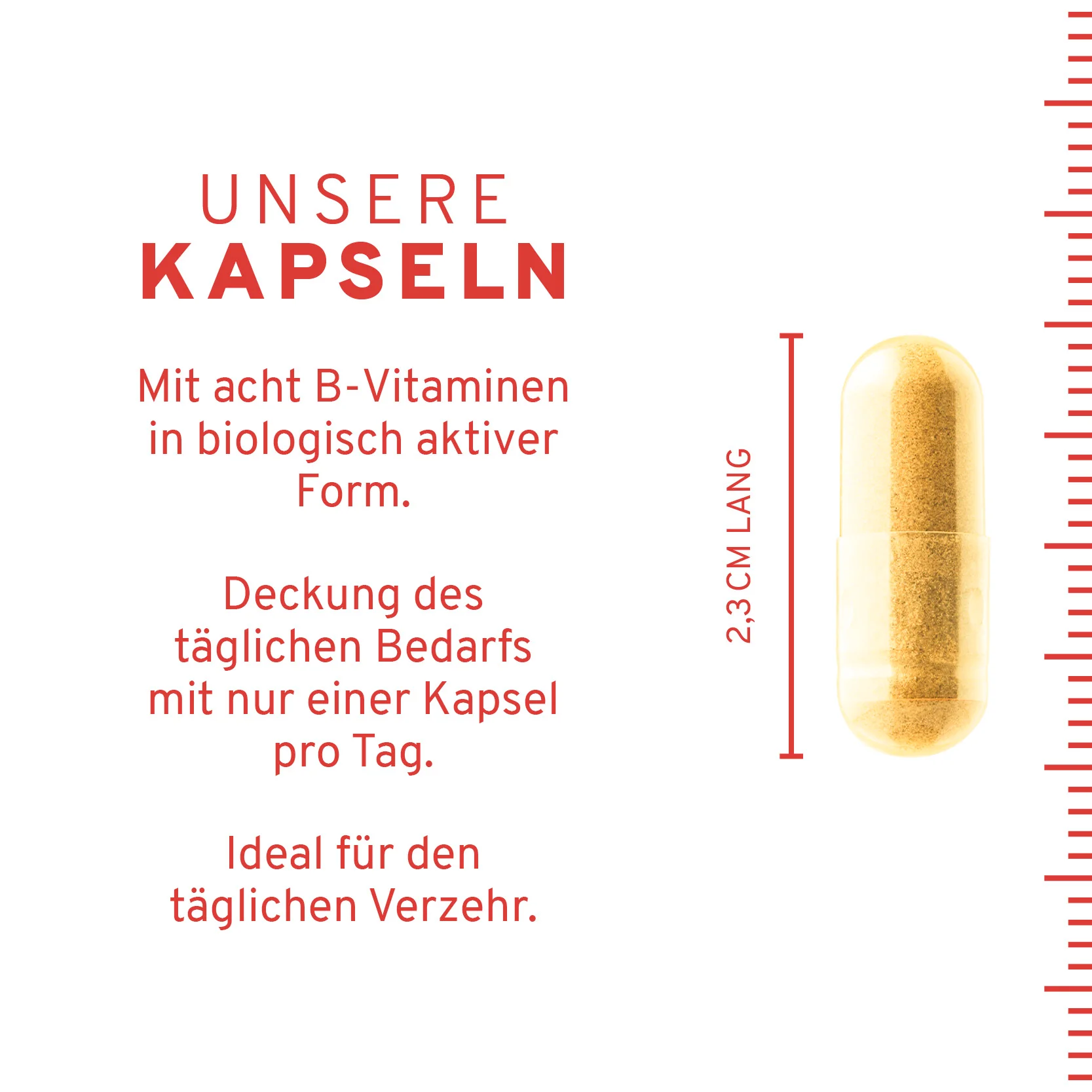 Natürliche Vitamin B Komplex Kapseln - Image 4